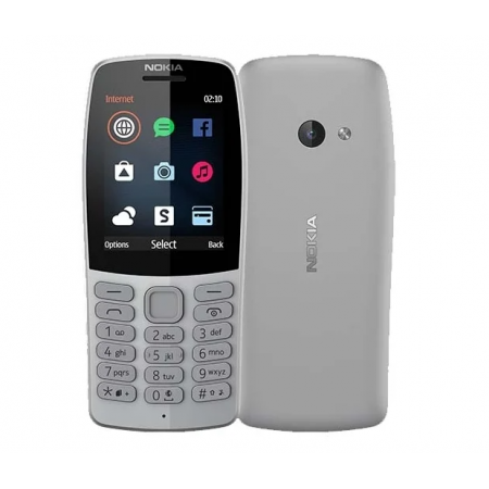 Мобильный телефон Nokia 210 DS серый