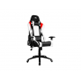 Кресло игровое 2E Gaming Bushido II (2E-GC-BUS-WT) черно-белый