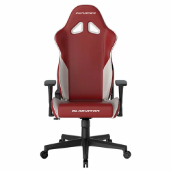 Кресло игровое DXRacer Gladiator (GC/LGN23LTF/RW) красно-белый