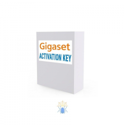 ПО для сетевого оборудования Gigaset N670 DECT Manager License (S30852-H2714-X2)