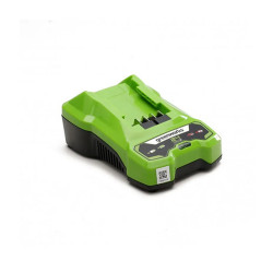 Зарядное устройство Greenworks G24C4 зеленый