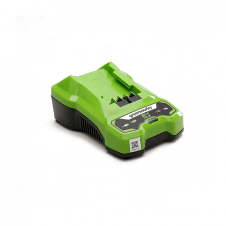 Зарядное устройство Greenworks G24C4 зеленый