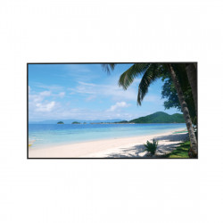 49" Монитор Dahua DHI-LM49-S400 черный