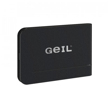 500 ГБ Внешний SSD диск GeiL GT500 (GT500-500G) черный