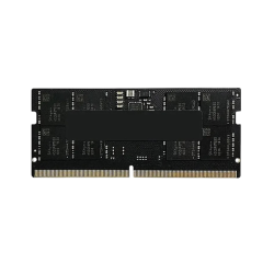 Оперативная память AMD Radeon R5 Entertainment Series (R5516G4800S2S-U) 16 ГБ Черный