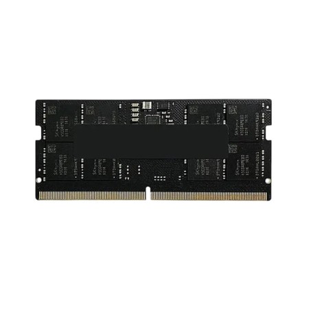 Оперативная память AMD Radeon R5 Entertainment Series (R5516G4800S2S-U) 16 ГБ черный