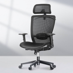 Эргономичное кресло FLEXISPOT C7B-Mesh-FT черный
