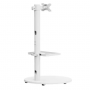 Мобильная напольная стойка Eco Estelar FS38-11TWE Белый Мобильная напольная стойка Eco Estelar FS38-11TWE Белый