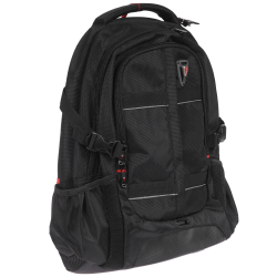 15.6" Рюкзак Sumdex PJN-302BK черный