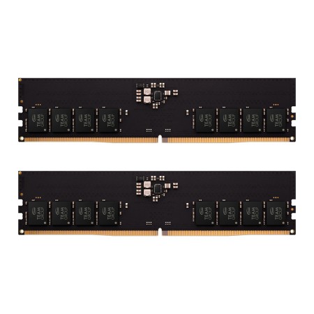 Оперативная память Team Group Elite (TED516G5600C46DC01) 16 ГБ черный