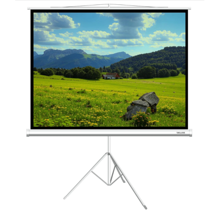 75" Экран для проектора XG DLS-T153x116W белый