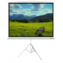 100" Экран для проектора XG DLS-T203x154W белый