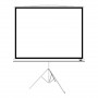 100" Экран для проектора XG DLS-T203x154W белый