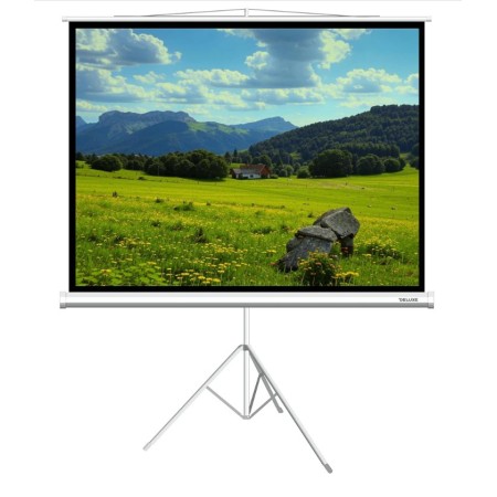 120" Экран для проектора XG DLS-T244x183W белый