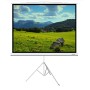 120" Экран для проектора XG DLS-T244x183W белый