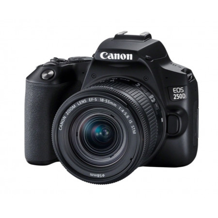 Зеркальный фотоаппарат Canon EOS-250D Kit 18-55mm IS STM черный
