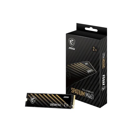 4 ТБ SSD диск MSI SPATIUM M461 (S78-440R030-P83) черный