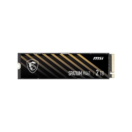 4 ТБ SSD диск MSI SPATIUM M461 (S78-440R030-P83) черный