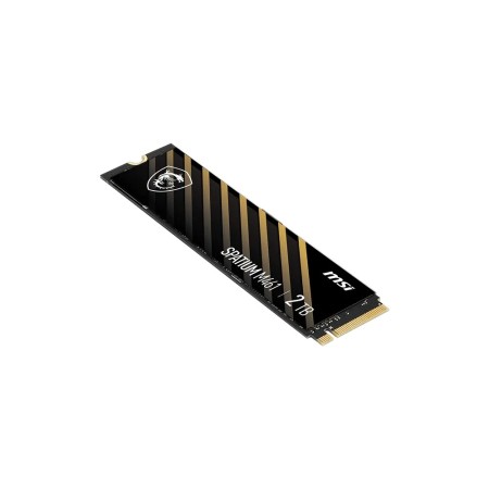 4 ТБ SSD диск MSI SPATIUM M461 (S78-440R030-P83) черный