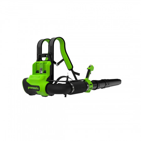 Воздуходувка аккумуляторная Greenworks GD40BPG2 (2408107) зеленый