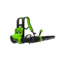 Воздуходувка аккумуляторная Greenworks GD40BPG2 (2408107) зеленый