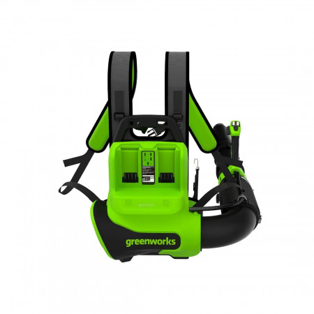 Воздуходувка аккумуляторная Greenworks GD40BPG2 (2408107) зеленый