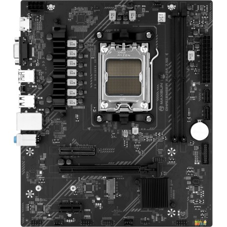 Материнская плата MAXSUN MS-Challenger A620A 2.5G черный