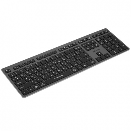 Клавиатура беспроводная A4Tech Fstyler FBX50C серый