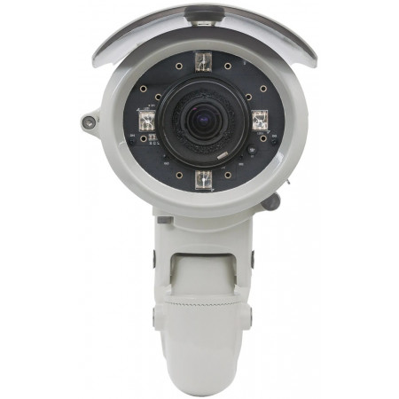 IP-камера Intellinet IBC-667IR белый