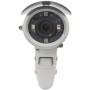 IP-камера Intellinet IBC-667IR белый