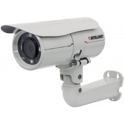 IP-камера Intellinet IBC-667IR белый