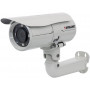 IP-камера Intellinet IBC-667IR белый