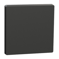 Клавиша для выключателя Schneider Electric D‑Life System Design Rocker MTN3300-6034 Антрацит
