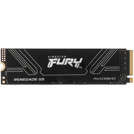 1 ТБ SSD диск Kingston Renegade G5 (SFYR2S/1T0) черный