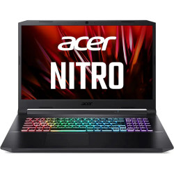 17.3" Ноутбук Acer Nitro 5 AN517-54 (NH.QFCER.007) черный
