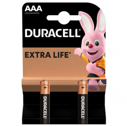 Батарейка Duracell Basic AAA (LR03/MN2400/2) 2 шт черный