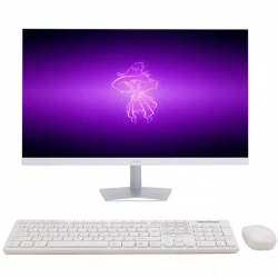 23.8″ Моноблочная система Sanc C2400261D белый