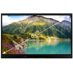 Интерактивная панель DigiTouch T6-65 черный