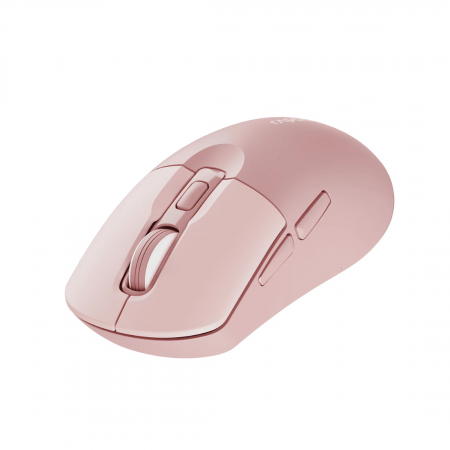 Мышь беспроводная Rapoo M308 Silent (M308 Silent Pink) розовый
