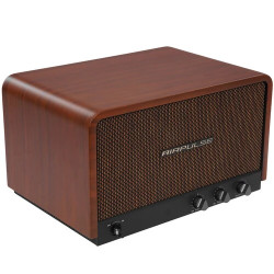 Акустическая система Edifier Airpulse P100X Коричневый