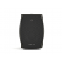 Громкоговоритель настенный CVGaudio ODF416TBL черный