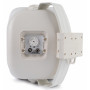 Громкоговоритель настенный CVGaudio OSR508TW белый