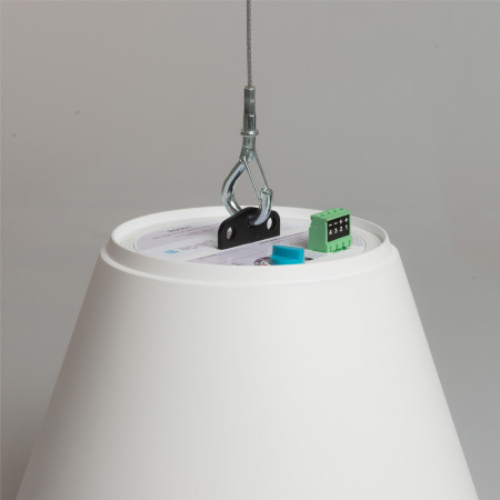 Громкоговоритель подвесной BIAMP P60DT-W белый