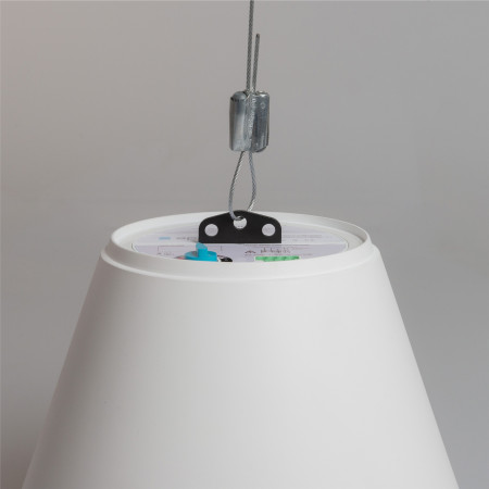 Громкоговоритель подвесной BIAMP P60DT-W белый