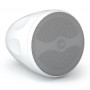 Громкоговоритель подвесной CVGaudio CS416TW белый