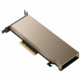 Видеокарта NVIDIA Ampere A2 (900-2G179-0020-100) 16 Гб золотистый