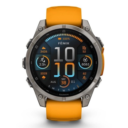 Спортивные часы Garmin fenix 8 AMOLED Sapphire 47 мм (010-02904-11) серебристый