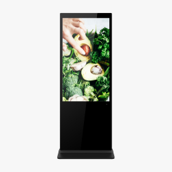 Интерактивный киоск DigiTouch DS-55T