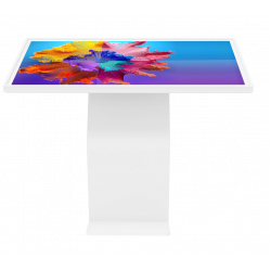 Интерактивный киоск DigiTouch DS-55WT
