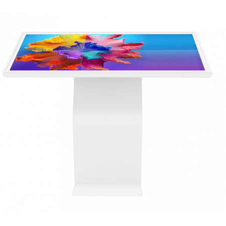 Интерактивный киоск DigiTouch DS-55WT